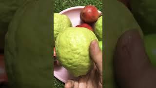 ఆరోగ్యానికి fruits #shorts #fruits #health #healthtips #nature #happylife #fruitcutting #fresh