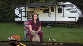 Paws on Board - Episode 7: Canine Ear Infections