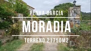 VENDA Moradia T3 com 21750m2 de Terreno, Penha Garcia