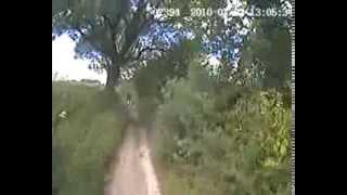 Meon Valley - Butser Hill - Dogcamsport Helmet Cam