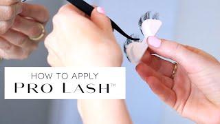 How to Apply Pro Lash Eyelash Extensions