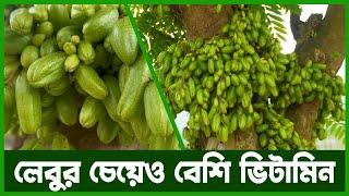 বিলিম্বি, শুধুমাত্র টক প্রেমীদের জন্য! | Agro News Bangla