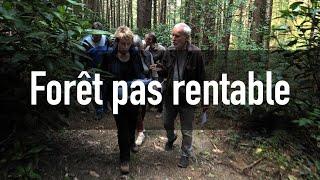 Les forêts privées françaises : une exploitation durable pas toujours rentable