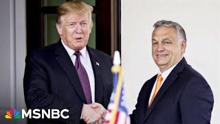 MAGA's road to authoritarianism: How Trump 2.0 mirrors Hungary's Viktor Orban
