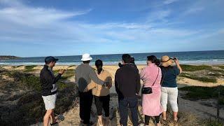 Exploring Tura Beach and Hobart Beach,Camping Day Two