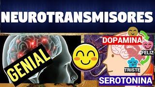 TODO SOBRE LOS NEUROTRANSMISORES | CLASIFICACIÓN Y FUNCIONES |