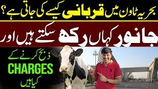 Qurbani in Bahria Town Karachi | Eid Ul Adha 2025 | Bakra Eid | MrZia