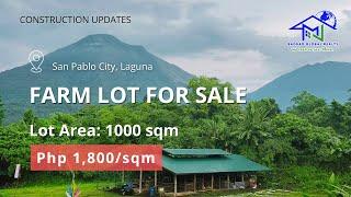 MURANG FARM LOT SA LAGUNA | FARM LOT FOR SALE | CONSTRUCTIONS UPDATE | AGRICULTURAL LOT