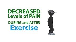 Physical Activity: It’s never too late to decrease your pain