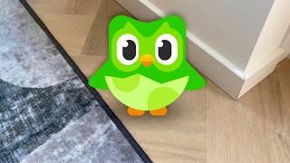 Baby Duolingo