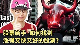 股票新手，如何找到涨得又快又好的股票 - (HOLD LE 投资教学课 - 7)