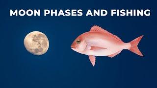 How the Moon and Tides affect bite times for fish like snapper, trevally and kingfish.