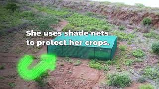 A Net of Hope: How Shade Nets Save Crops & Lives | CAFOD Lent Appeal 2025