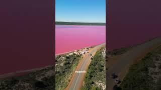 Lake Hillier, Australia #lakehillier #australia