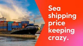 Sea shipping price keeping crazy#freight #logistics #shipping