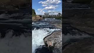Riverfront Park in Spokane, WA #shorts #explorepage #nature #hiking #exploremore #parksetters