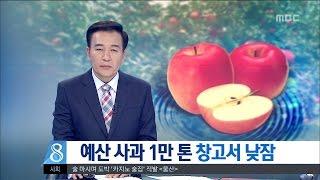 [대전MBC뉴스]예산 사과 1만 톤 창고서 낮잠