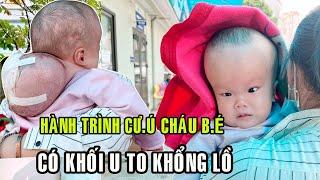 VƯƠNG MINH TÂY BẮC HÀNH TRÌNH VƯỢT NÚI 600KM ĐỂ  GIẢI CƯ.Ú KHỐI U TO KHỔNG LỒ CHO CHÁU B.É