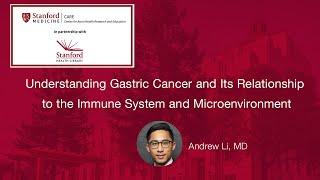 Understanding Gastric Cancer and Its Relationship to the Immune System and Microenvironment