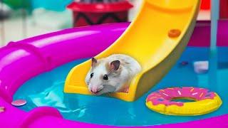  Hamster Escapes the MEGA AQUAPARK MAZE [OBSTACLE COURSE]