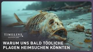 Prophezeiung Gottes: Wird Wasser in Zukunft tödlich sein? | Doku | Timeline Deutschland