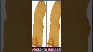 Condom Chronicles: A Brief History Unwrapped.#shorts #history #historybypass  #ancienthistory