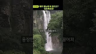 [정보줍줍] 제주 왔는데 비 온다고? 엉또폭포로!