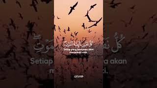 Beauty' of Quran #clips #follow #daily #telewat #qurantilawat #of #sakoonqaalb