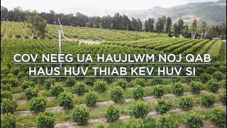 COV NEEG UA HAUJLWM NOJ QAB HAUS HUV THIAB KEV HUV SI (Hmong translation)