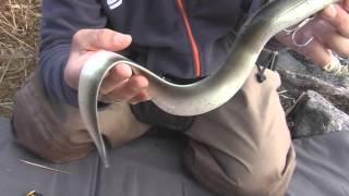 Savage Gear Real Eel Ready to Fish