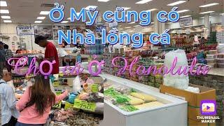 Độc lạ Chợ cá ở Hawaii, Mỹ - Cứ Tưởng đang đi chợ cá Quê ở Việt Nam | Cuộc Sống Mỹ Cuối Tuần