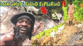 NaTuRe eXpLoRe! HiKinG, NaTuRaL sPriNg WaTeR DisCoVeRy, oFF gRiD OuTDooR aDVeNTuReS wiTH 7 DoGs!