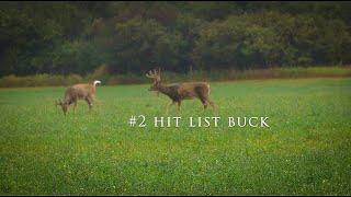 | Hunting Hit List Bucks In The Round Bail Blind |