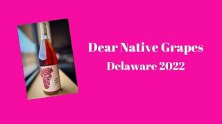 Adventures in Low-Intervention Wine - Dear Native Grapes - Delaware 2022 (Skin Contact)