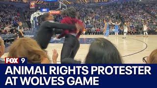 Video of animal rights protester entering Timberwolves court, getting tackled by security | FOX 9