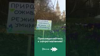 Как высказаться против войны? Присоединяйтесь к видимому протесту!