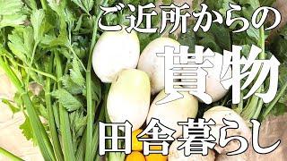 【標高800ｍの田舎暮らし】近所からいただく野菜はもの凄い量｜50代夫婦｜村暮らし