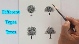 Different types trees drawing by pencil with easy ways.