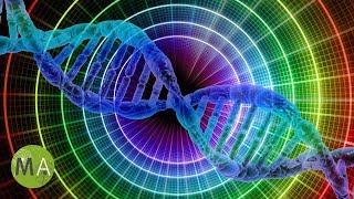 528Hz Miracle Tone DNA Repair, Healing Frequency, Solfeggio, 7.83Hz Earth's Pulse 1002