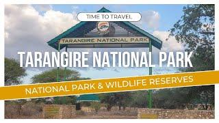 African Wildlife Adventure: Tarangire National Park, Tanzania