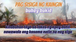 Pag sisiga ng kaingin buhay bukid. Kinabahan tayo sa lakas ng apoy nawawala ang kasama ko saan kana?