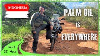 I visited Indonesia’s $5.7 Billion Palm Oil industry – Surprising Lessons I Learned  [SE E64]