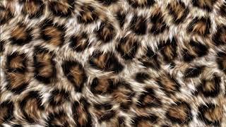 Seamless Leopard Print Youtube Video WM