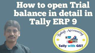 How to open Trail Balance in Detailed in Tally ERP 9. (C. A. को टैली ERP 9 से Trial Balance भेजे)