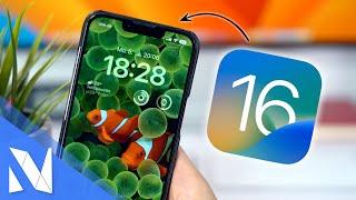 iOS 16 Update ist da! - Was ist alles neu? | Nils-Hendrik Welk