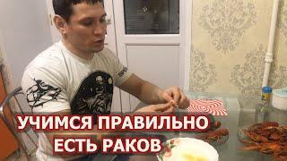 КАК ПРАВИЛЬНО ЕСТЬ РАКОВ!ЧТО МОЖНО КУШАТЬ В РАКАХ.ВКУСОВЫЕ ОТЛИЧИЯ САМЦА И САМКИ.ДЕЛИКАТЕС В РАКАХ.