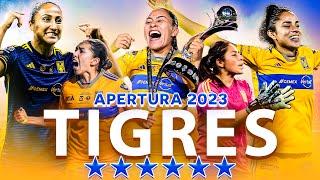 Tigres HEXACAMPEONAS ⭐⭐⭐⭐⭐⭐ Las más GRANDES  El camino del título Jornada a Jornada