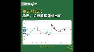 USD/CAD 保持稳定，欧洲时段交易价为1.4041，上涨0.12%。