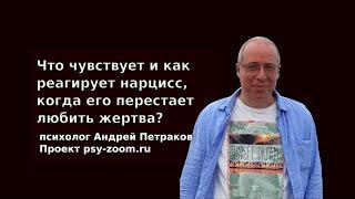 Что чувствует и как реагирует нарцисс когда его перестает любить жертва?