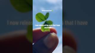 Call your power back #CallYourPowerBack #Power #FourLeafClover #LuckyCharmDon #UniverseMessage